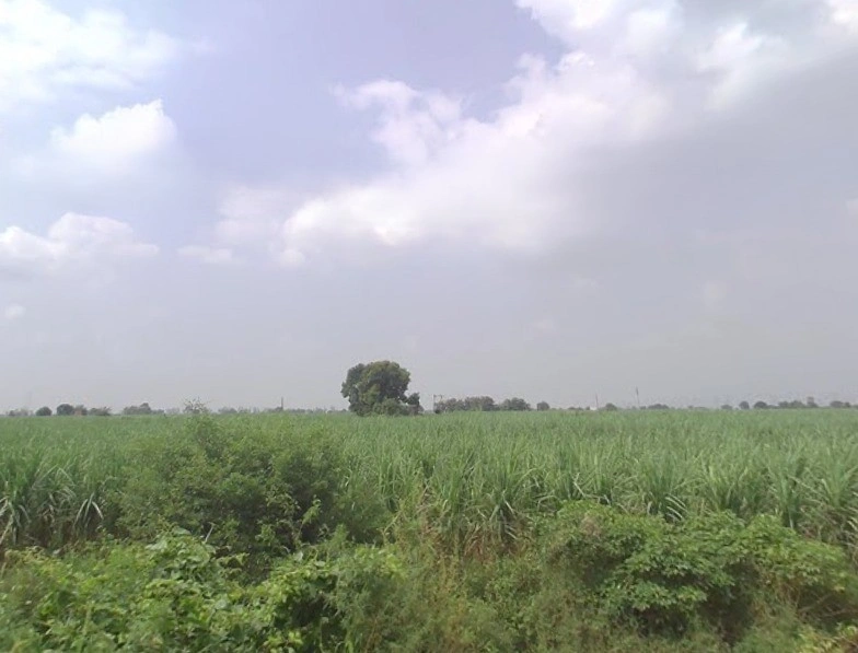 Baraut, Uttar Pradesh 250611, India