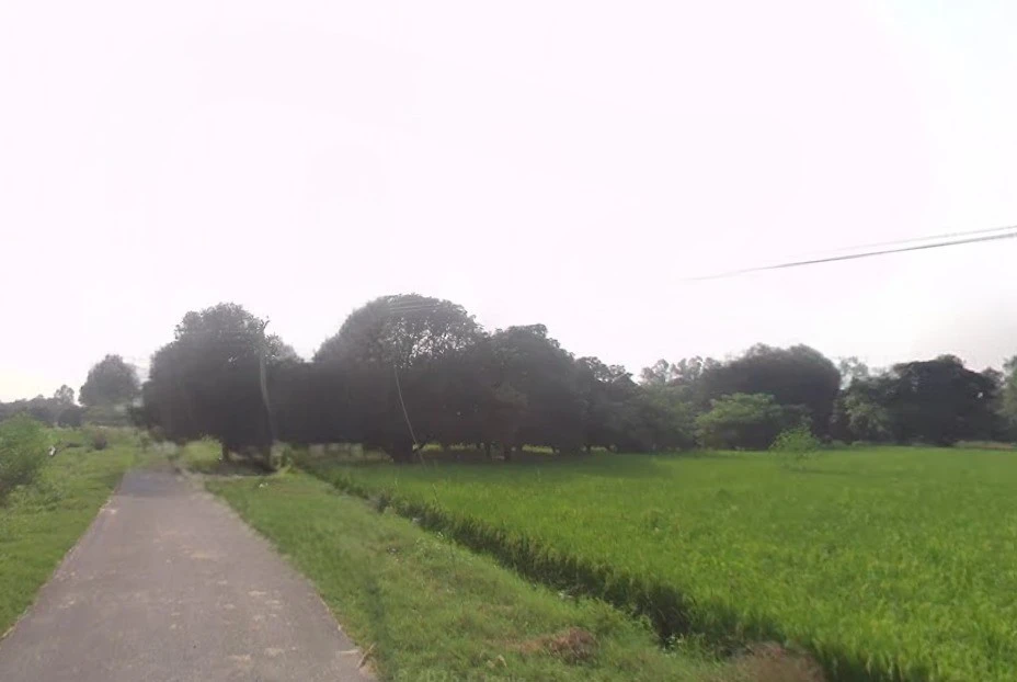 Daulatpur, Uttar Pradesh 203398, India