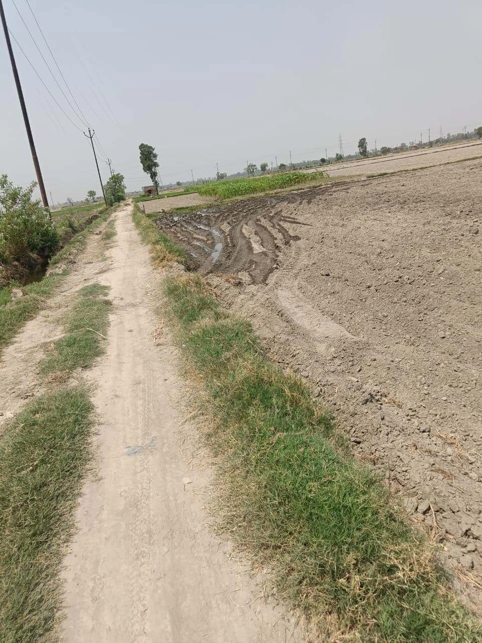 Sahar, Uttar Pradesh, India