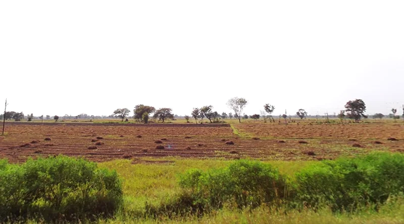 Sehore Bypass Rd, Takipur, Madhya Pradesh 466001, India preview 3