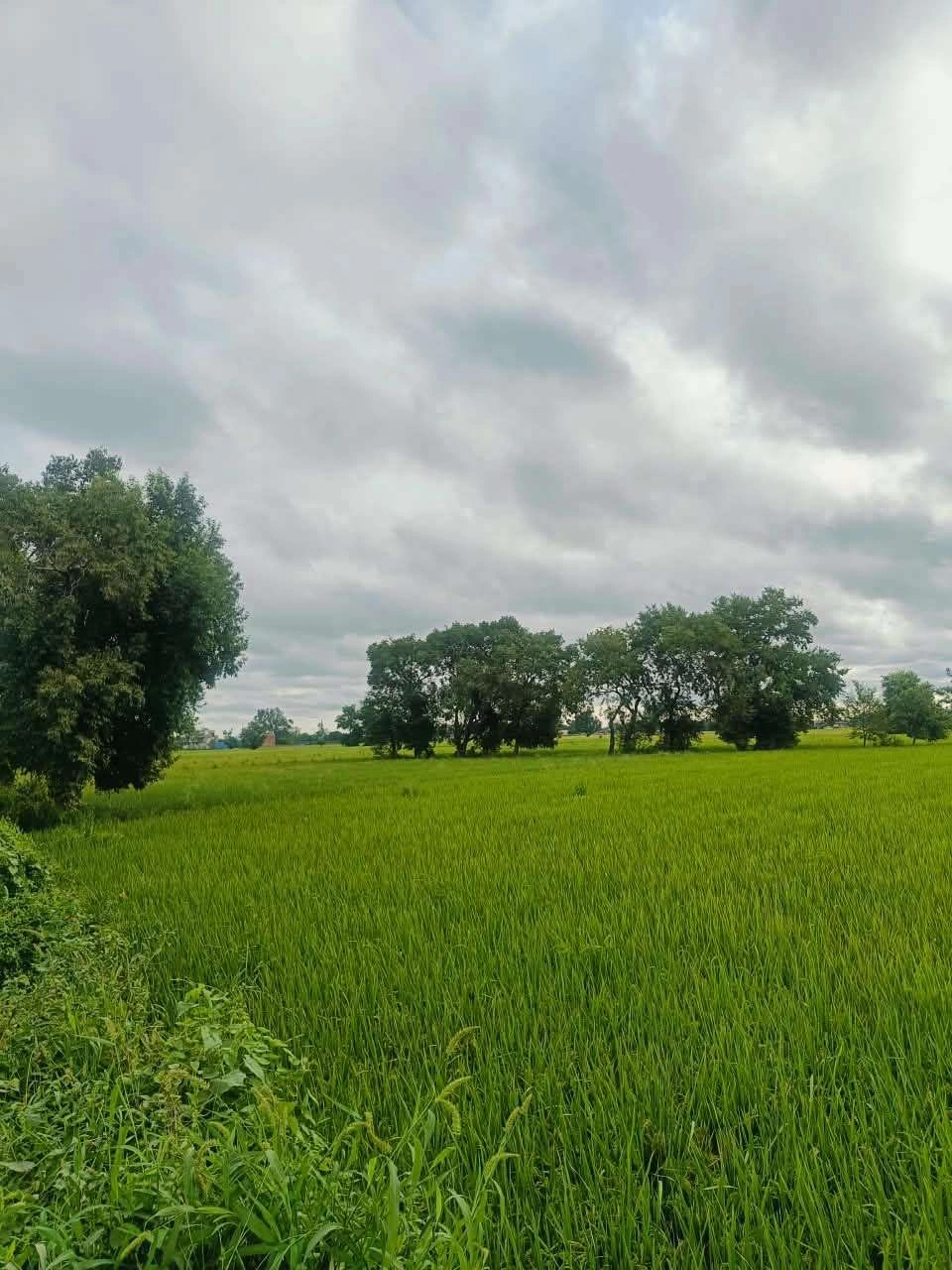 Malhu, Mathura, Uttar Pradesh 281123, India