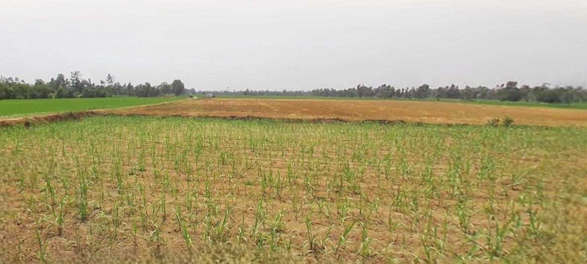 Ramnagar, Uttarakhand 244715, India