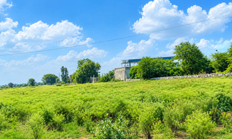 7595+JG2, Kota, Sultanpur, Rajasthan 325204, India