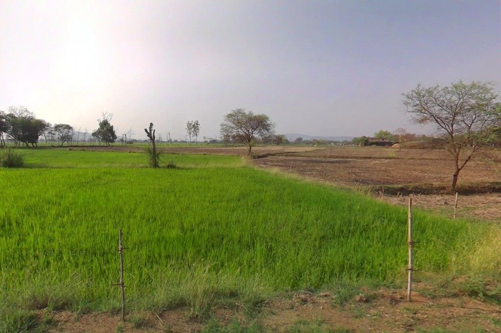 Bhalukona, Chhattisgarh, India