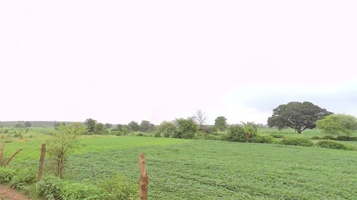 Charka, Madhya Pradesh, India