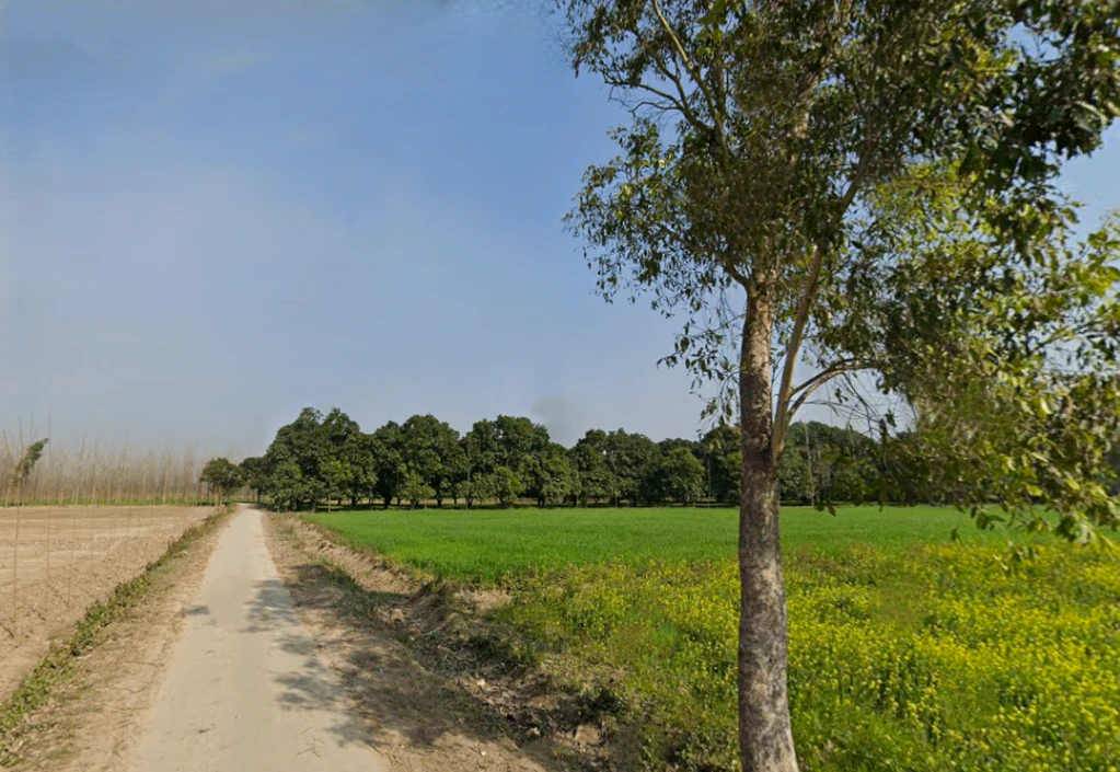 Pilkhani, Uttar Pradesh 247451, India
