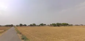 Keshwanagujar, Rajasthan, India preview 2