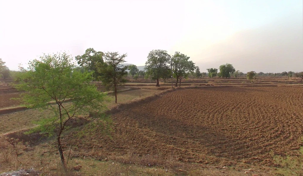 Jhalap, Chhattisgarh 493551, India