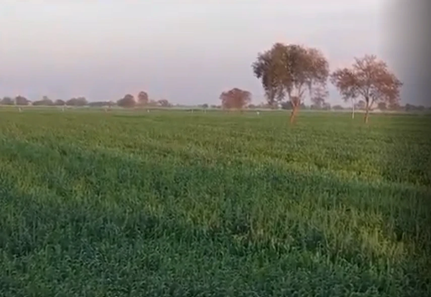 435M+W2P, Jaipur, Ramgarh Dam - Raisar Rd, Samred Kalan, Rajasthan 303109, India