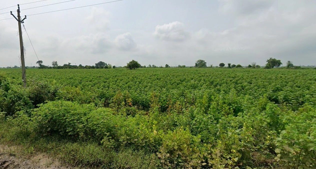 Maro, Chhattisgarh 491340, India