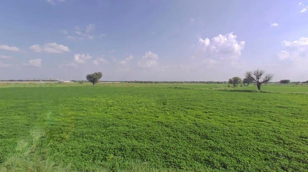 P8QQ+9FV, Palu Khurd, Rajasthan 303348, India