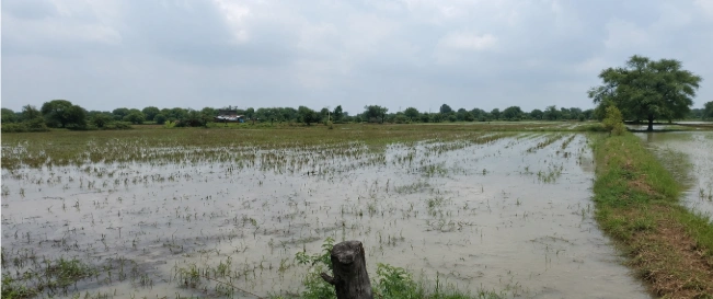 Baberu, Uttar Pradesh 210121, India