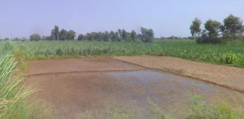 Bijnor, Uttar Pradesh 246701, India preview 2