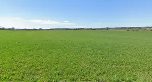 Karera, Madhya Pradesh, India preview 2