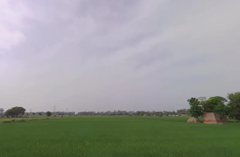 Tohana, Haryana 125120, India preview 3