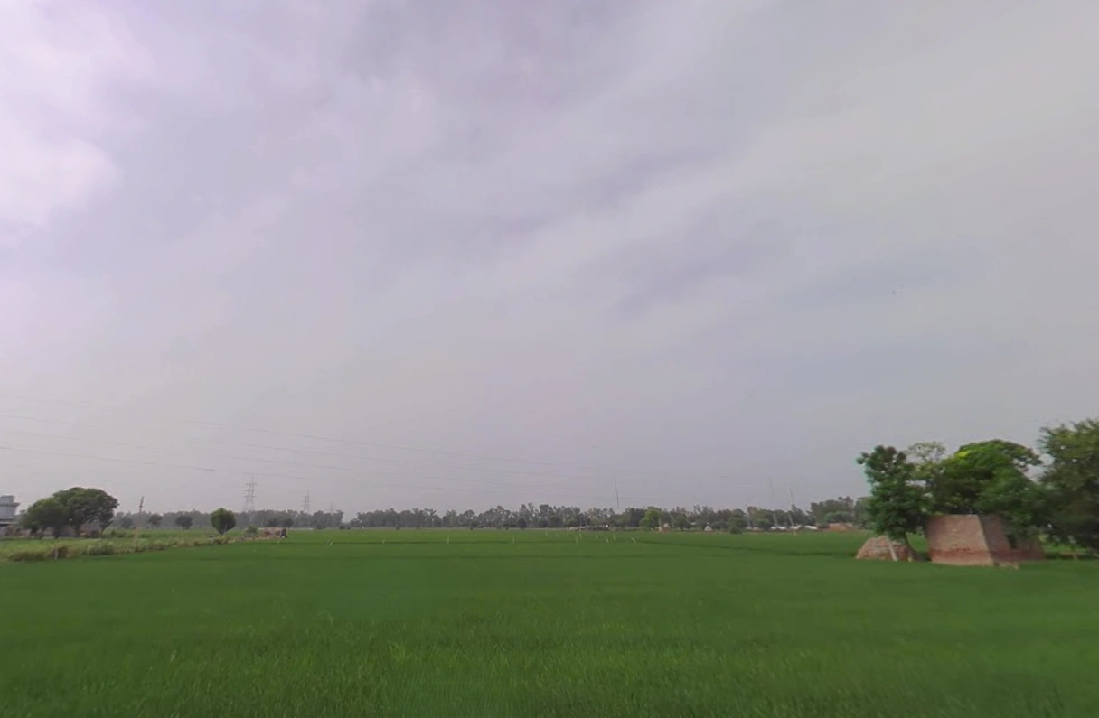 Tohana, Haryana 125120, India