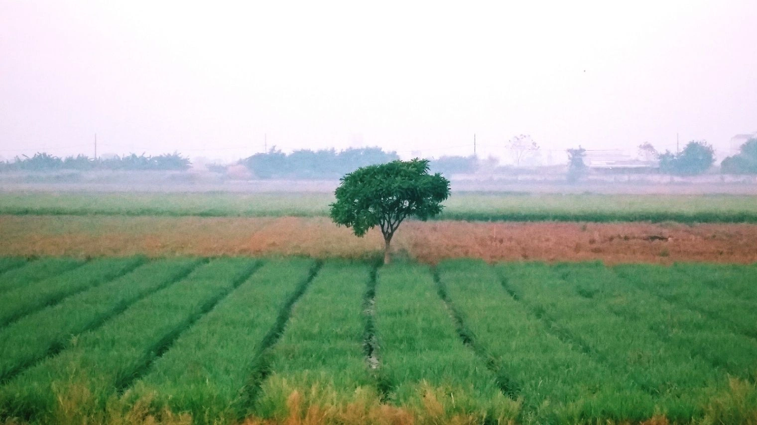 CW25+66H, Bhogipura, Madhya Pradesh 473222, India preview 2