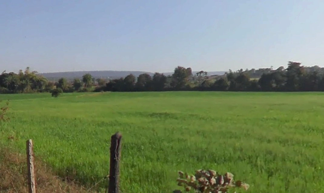 48VR+W8M, Bhanpur, Madhya Pradesh 462044, India