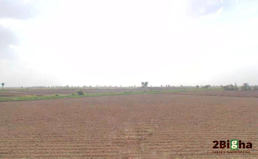 Kosi Kalan, Uttar Pradesh 281403, India