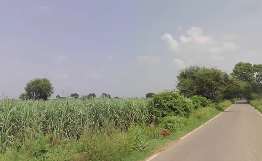 Baraut, Uttar Pradesh 250611, India