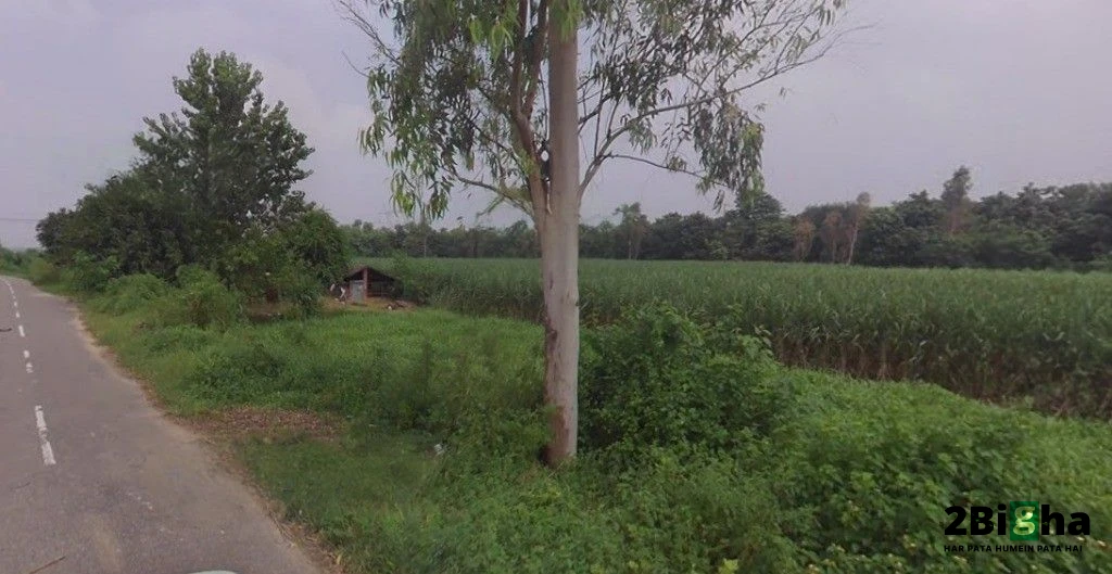 Pithlokar, Uttar Pradesh 250342, India