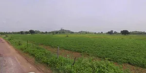 Bahadurgarh, Haryana, India preview 2