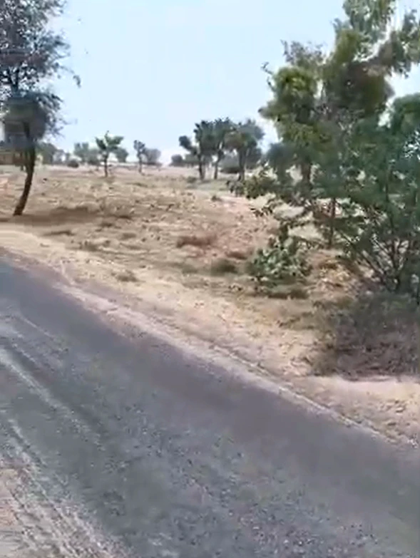 Gidani, Dudu, Rajasthan 303348, India
