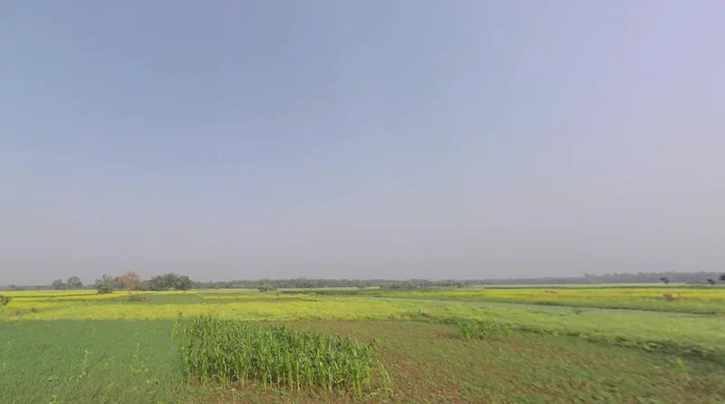 FC36+45F, Bhaktisiddhanta Saraswati Marg, Bamanpukur, West Bengal 741313, India preview 2