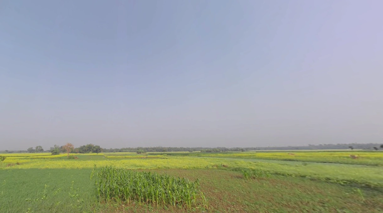 FC36+45F, Bhaktisiddhanta Saraswati Marg, Bamanpukur, West Bengal 741313, India