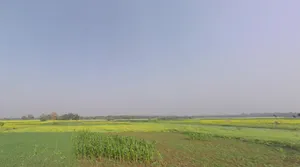FC36+45F, Bhaktisiddhanta Saraswati Marg, Bamanpukur, West Bengal 741313, India preview 2