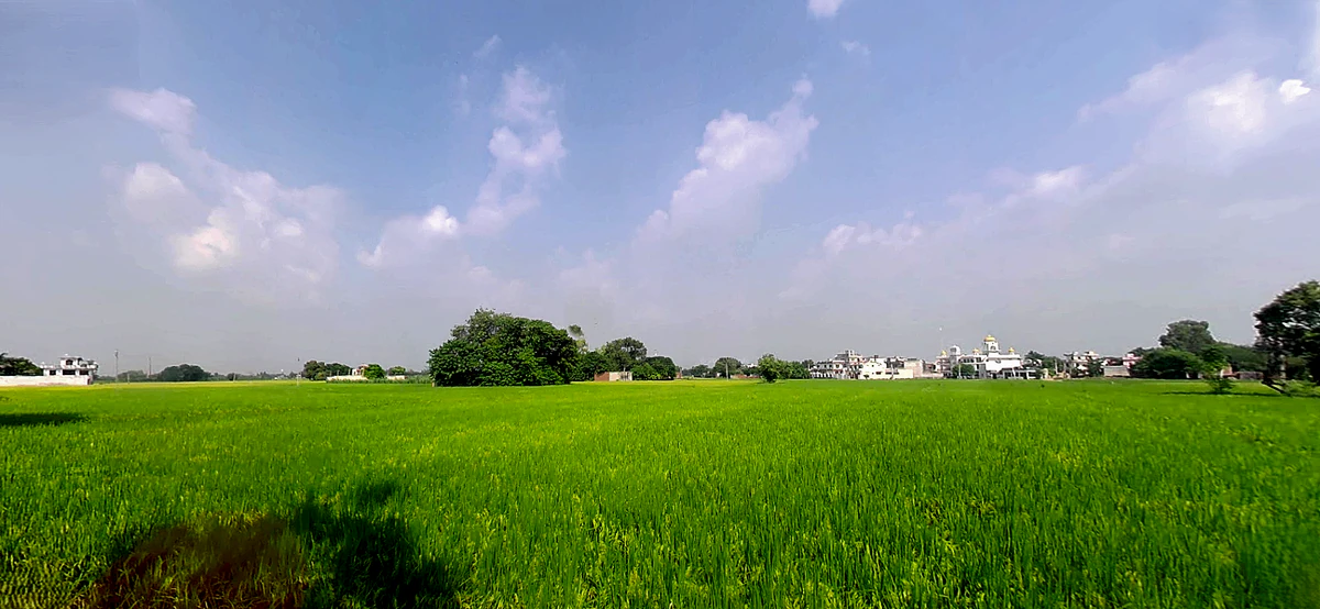 Dada Patti, Uttarakhand 247662, India