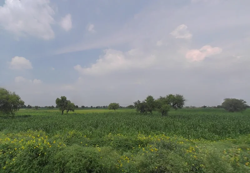 Barasat, West Bengal 741257, India preview 2