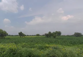 Barasat, West Bengal 741257, India preview 2