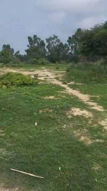 G2H6+G9W, Adhaeya, Uttar Pradesh 226302, India preview 4