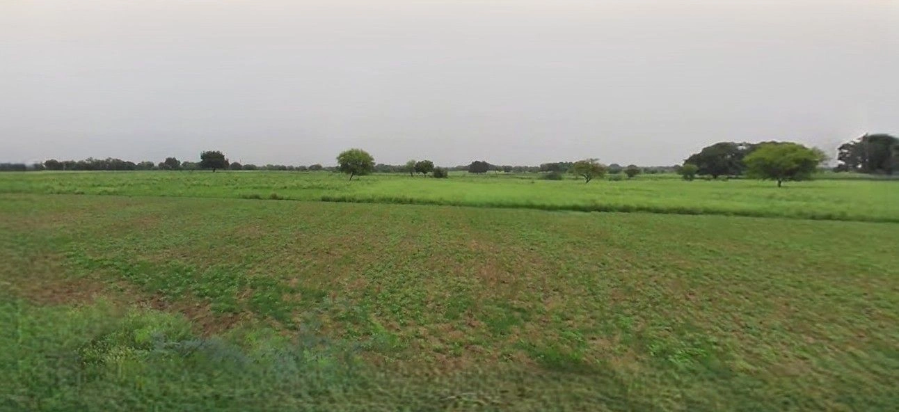 Bazpur, Uttarakhand 262401, India preview 3