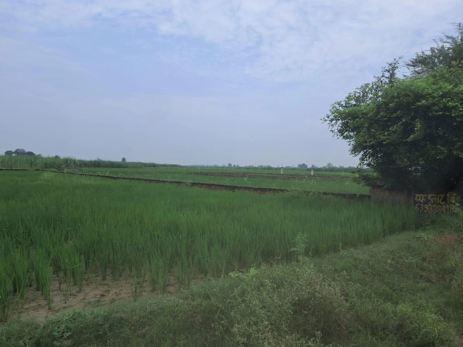 P6FR+8J6, Ayodhya, Samaha Khurd, Uttar Pradesh 224135, India