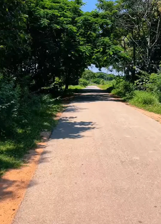 Akkaram Rd, Siddipet, Teegul, Telangana 502311, India