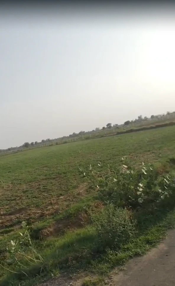 Govind Garh, Rajasthan 301604, India