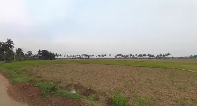 Chandanpur, Odisha 752012, India preview 3