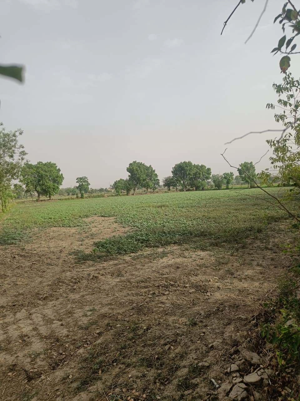 Aou, Rajasthan, India