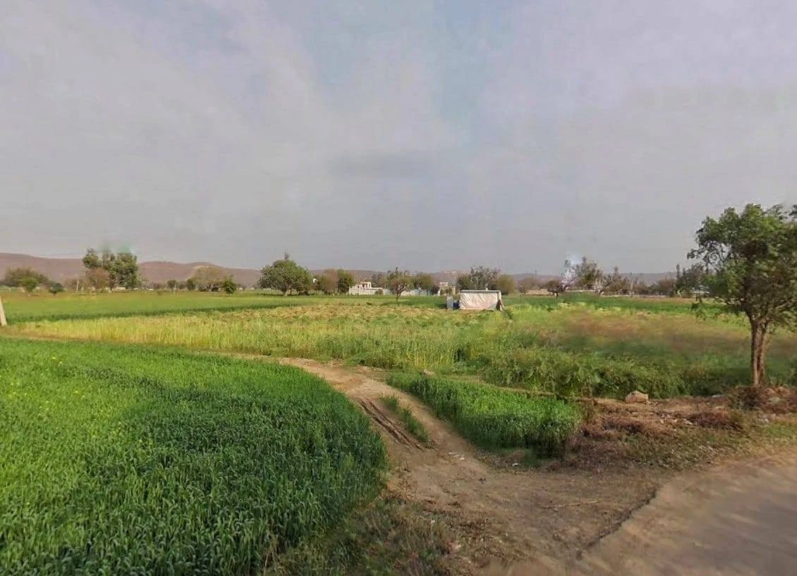 CQRQ+89Q, Pali, Rajasthan 301001, India