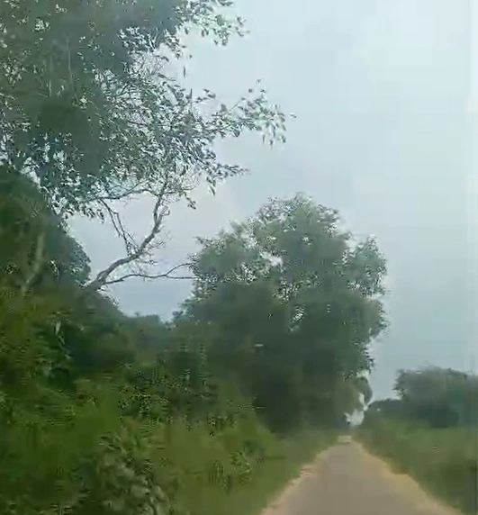 Bhatola, Bulandshahr, Uttar Pradesh 203395, India
