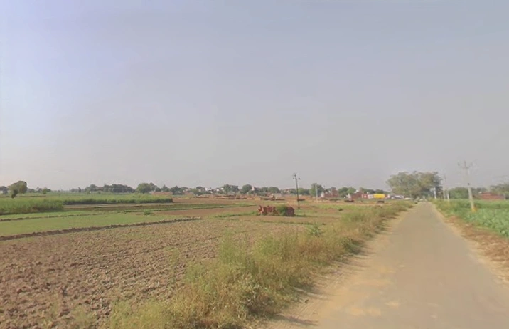 Kila Parikshit Garh Rd, Coral Spring Colony, Abdullapur, Uttar Pradesh, India