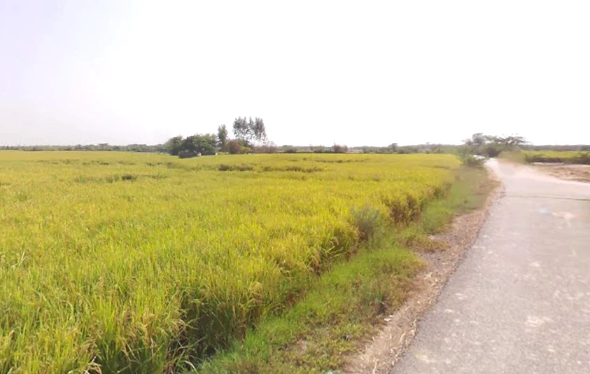 Vrindavan, Uttar Pradesh, India