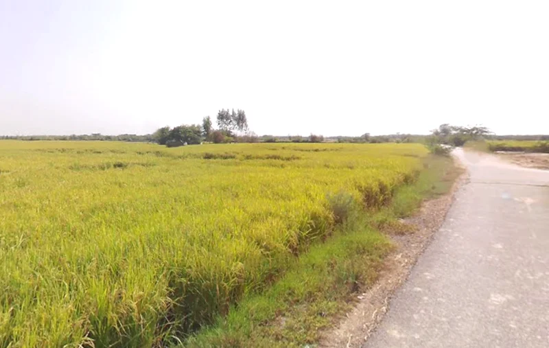 Vrindavan, Uttar Pradesh, India preview 2