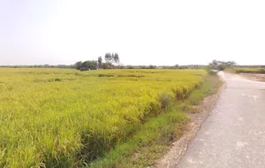 Vrindavan, Uttar Pradesh, India preview 2