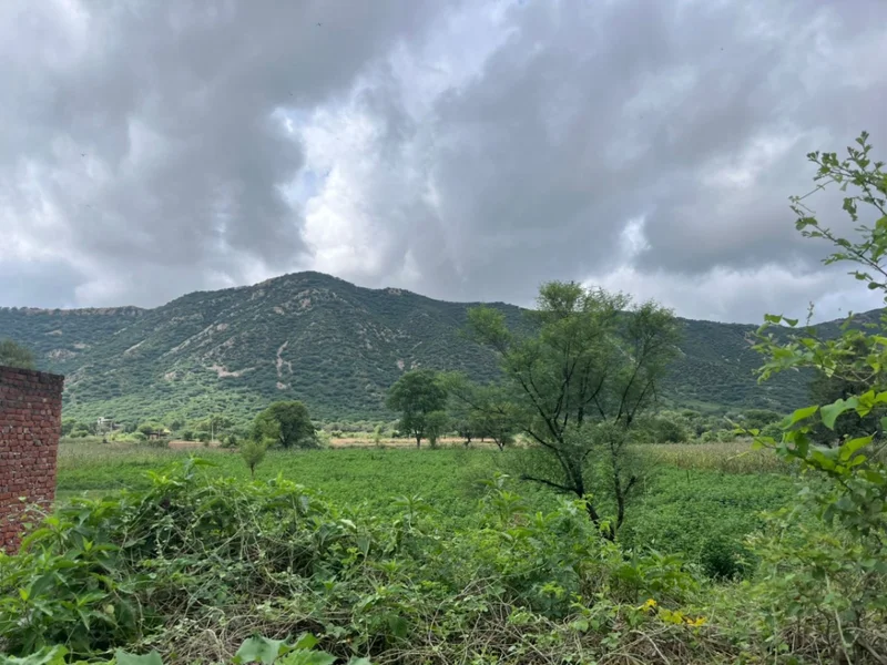 2PJP+HW, Basant Bihar, Rajasthan 333514, India preview 2