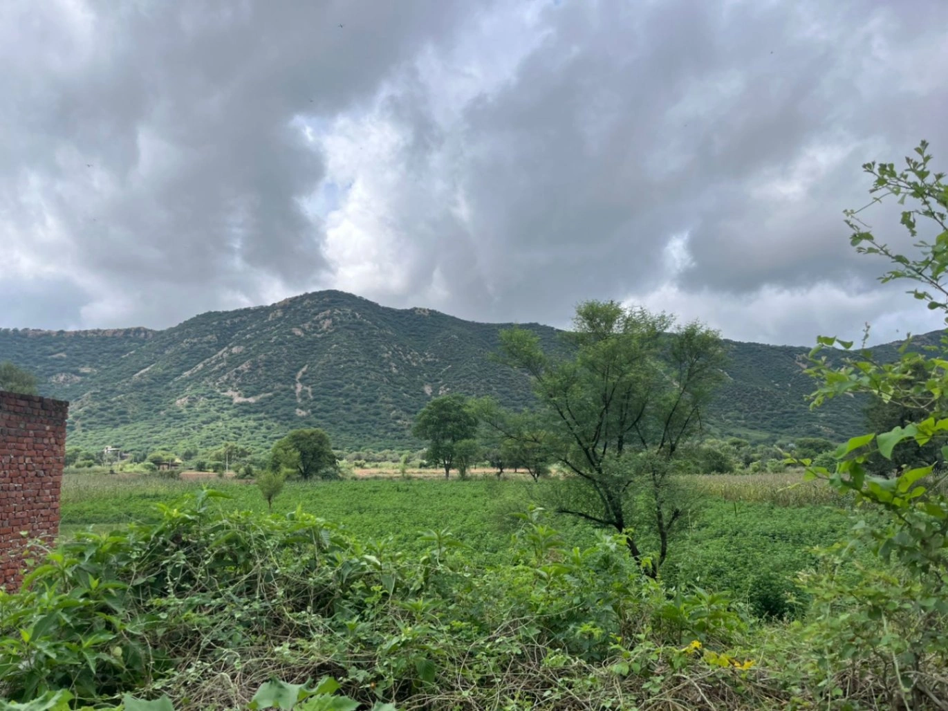 2PJP+HW, Basant Bihar, Rajasthan 333514, India