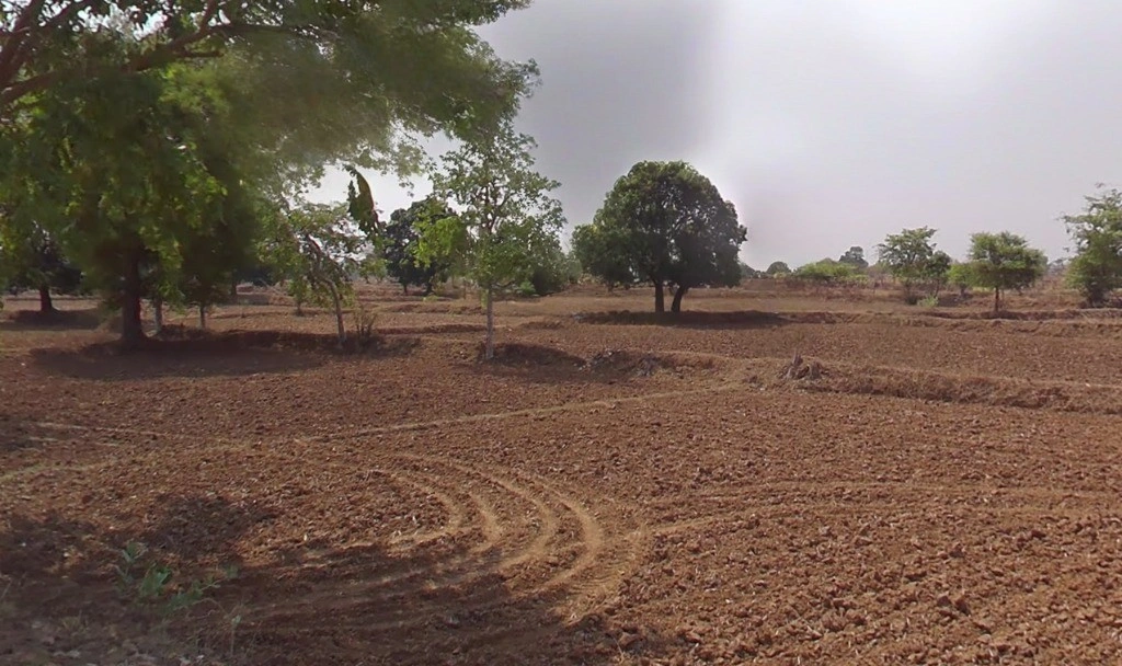 Bargaon, Chhattisgarh 491332, India