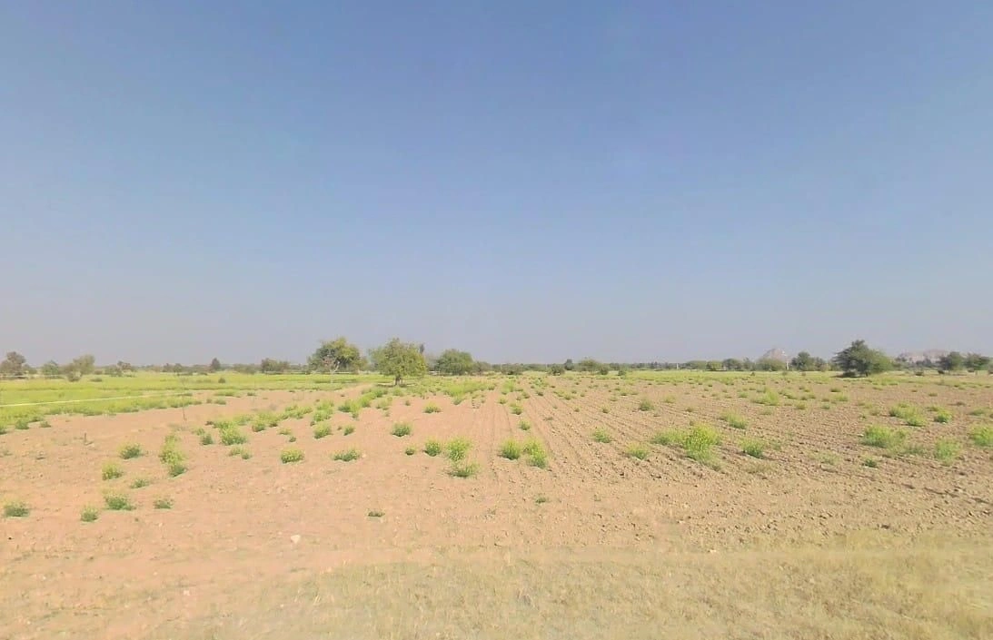 V5VM+4G7, Bandai, Rajasthan 306421, India